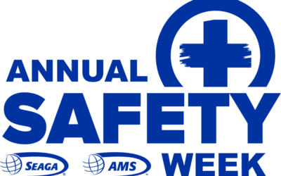 Importance of Safety in Warehouses and Distribution Centers