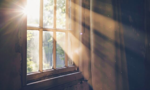 Harm Reduction Vending Machines Are Quietly Saving Lives